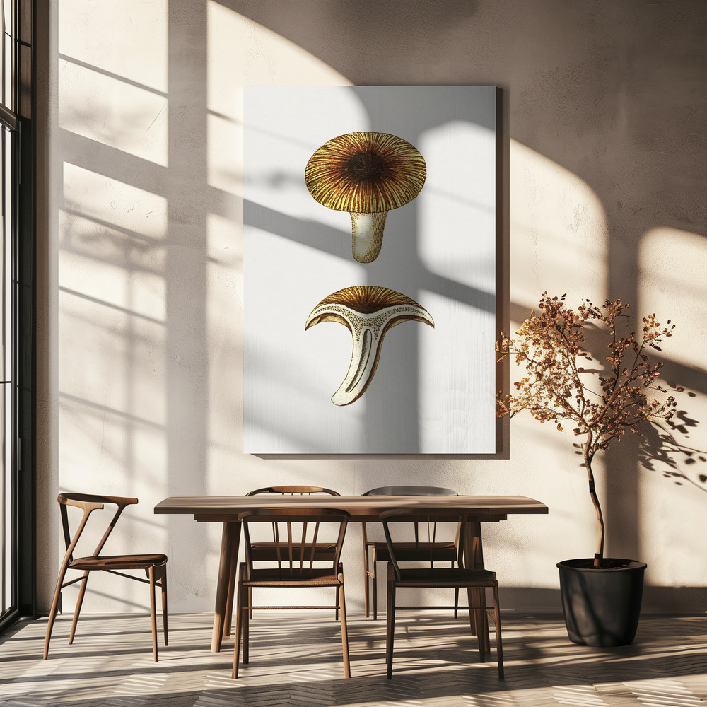 Canvas print - Vintage Chanterelles Edible Mushroom over dining table