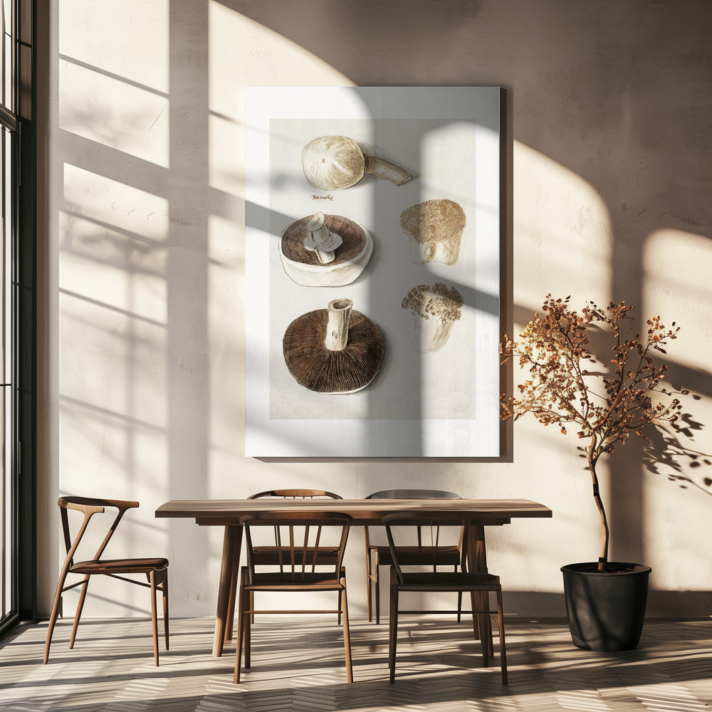Canvas print - Common Meadow Mushroom, Agaricus Campestris Standing over dining table