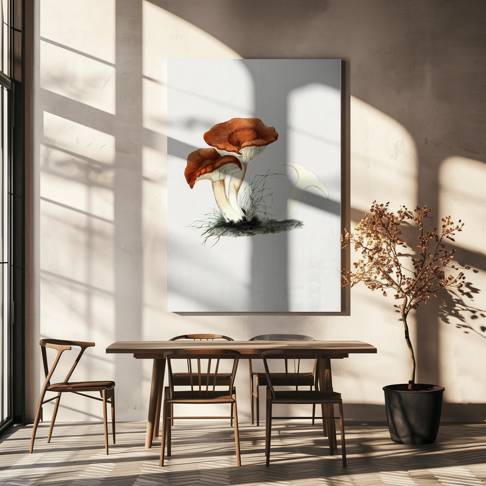 Canvas print - Hand Drawn Rufous Milkcap Mushroom over dining table