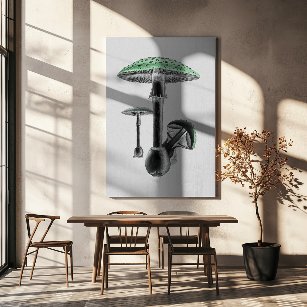 Canvas taulu - Amanita Muscaria White Background Green ruokapöydän yli