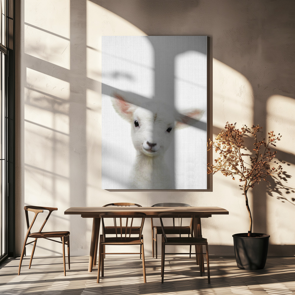 Canvas print - Peekaboo Baby Sheep over dining table