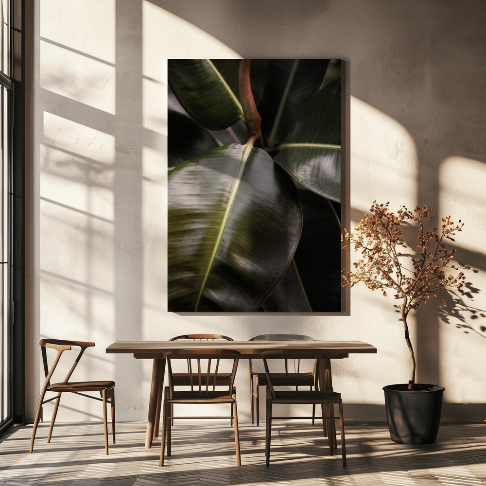Canvas print - Ficus Bubu over dining table