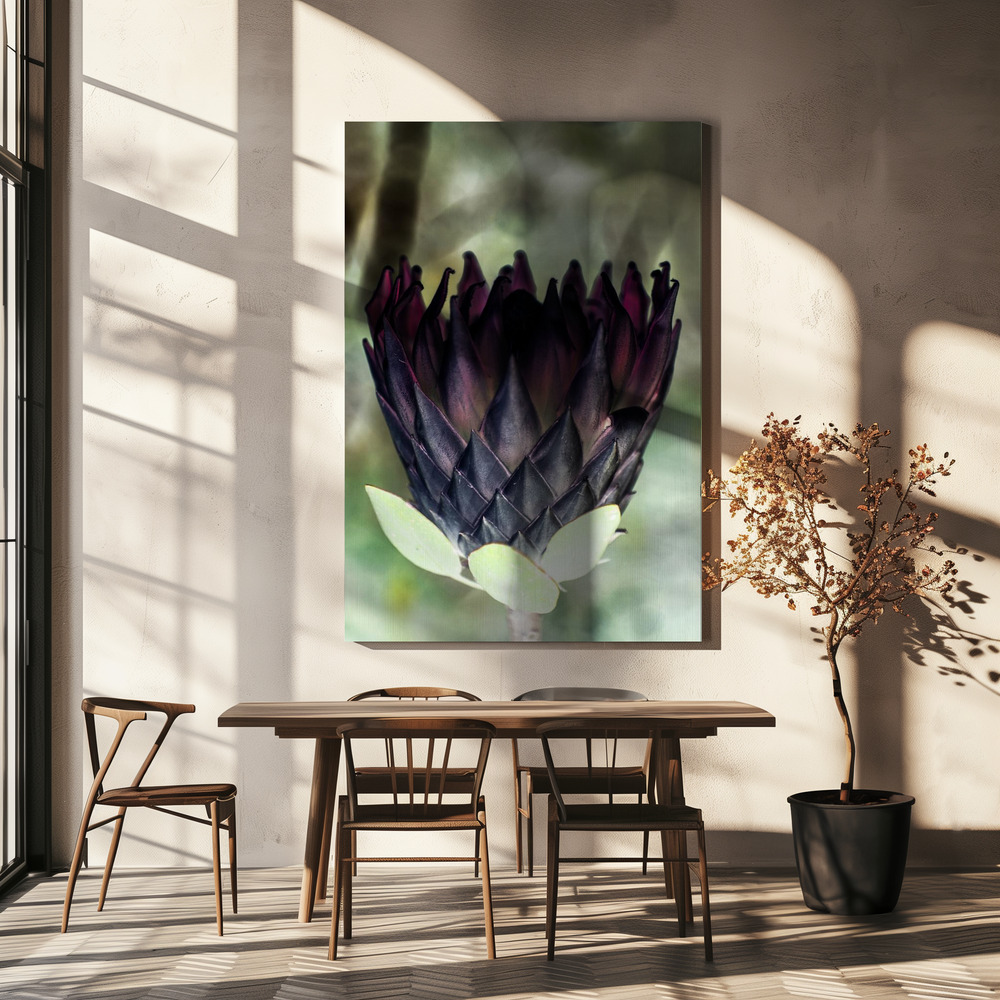 Canvas print - King Protea 01 over dining table