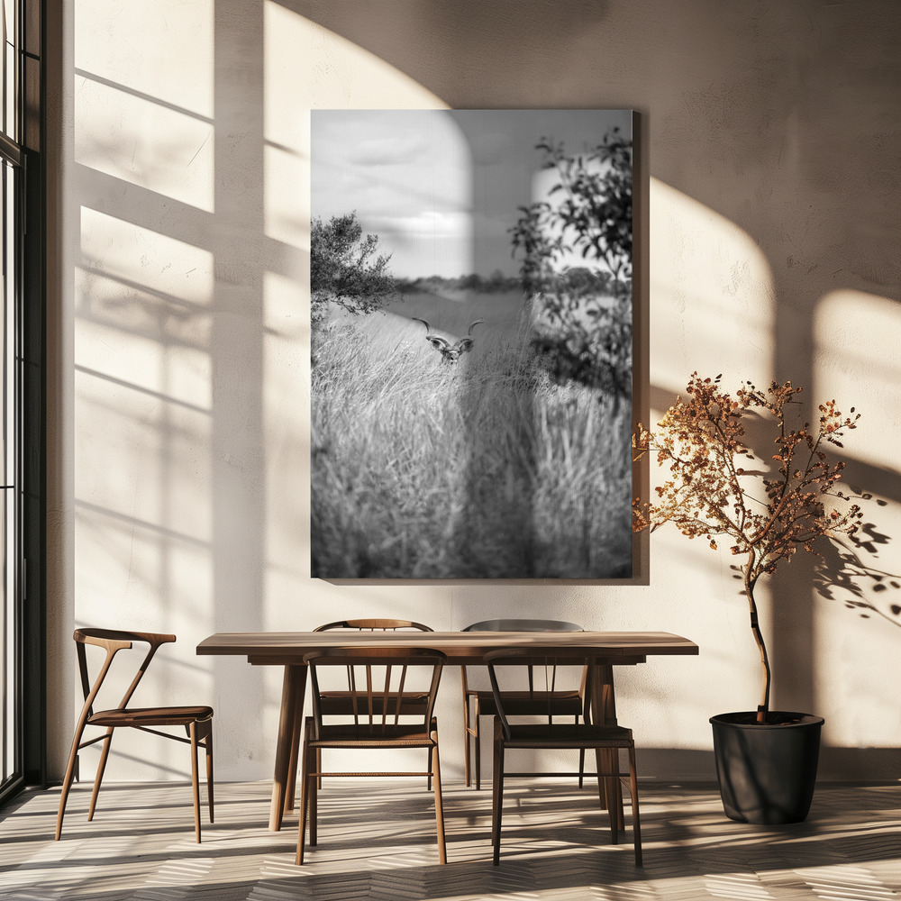Canvas print - Kudu over dining table