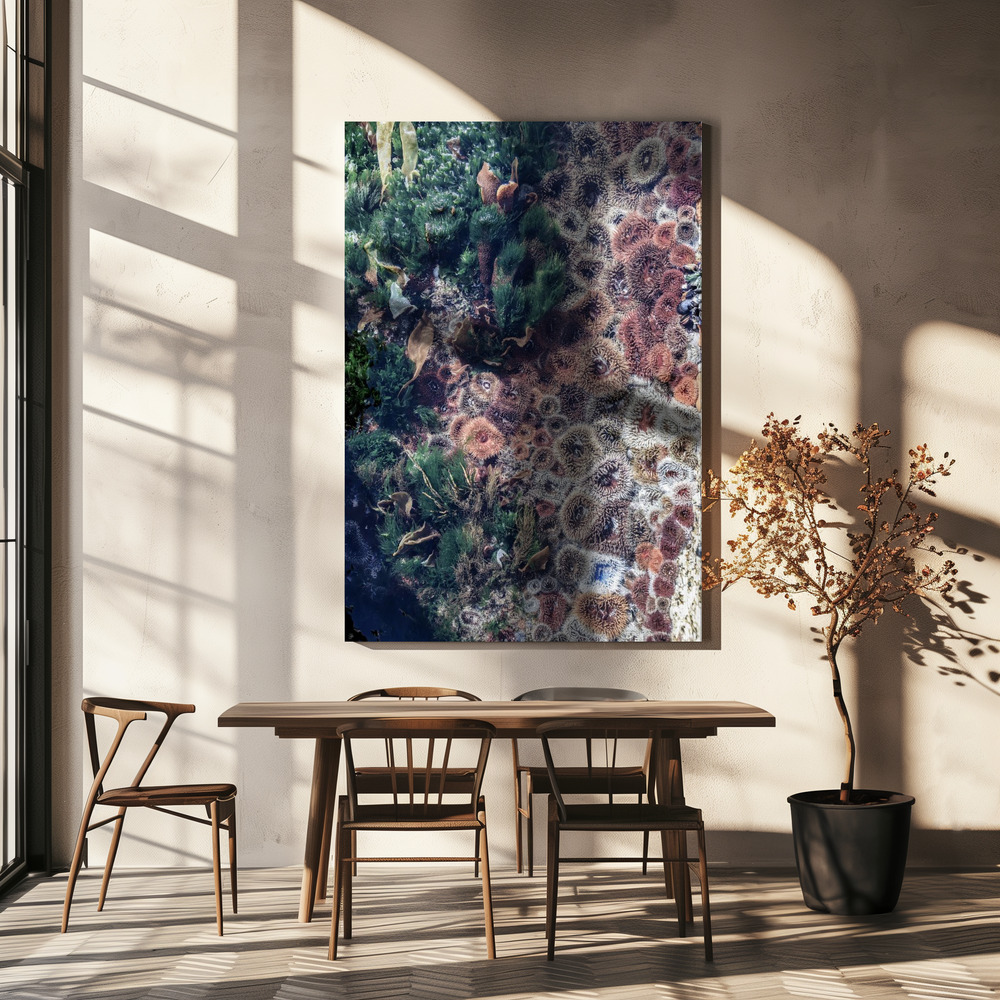 Canvas print - Ocean Curiosities over dining table