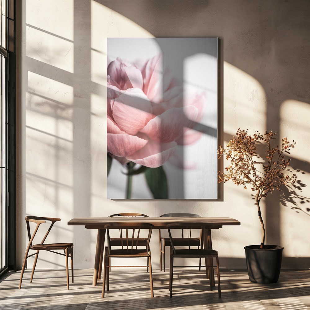 Canvas print - Peony 3 over dining table