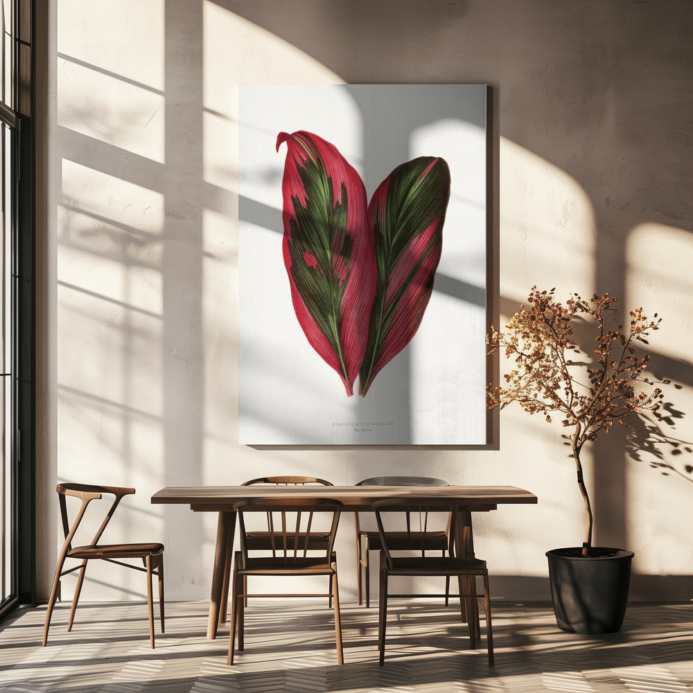 Canvas print - Pink Dracaena Terminalis Leaf Illustration over dining table