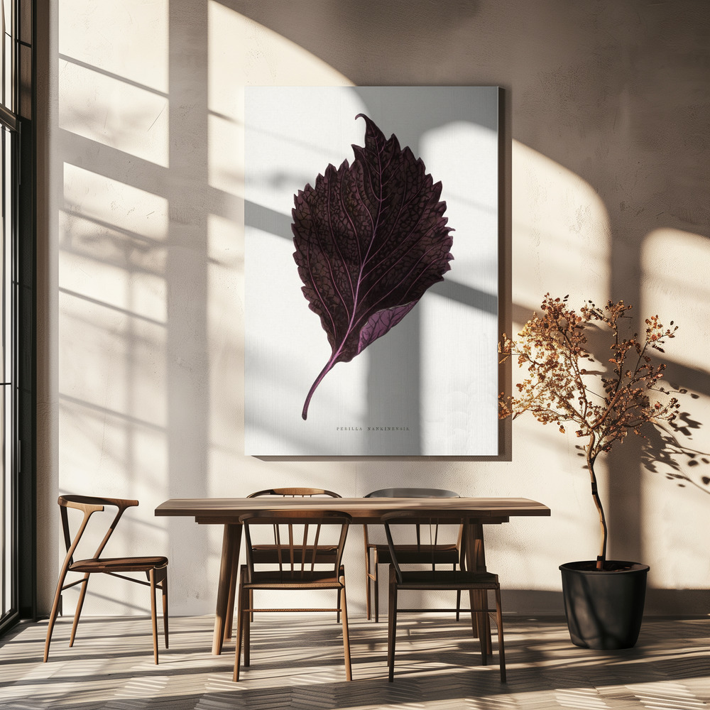 Toile - Pink Perilla Nankinensis Leaf Illustration table de salle à manger