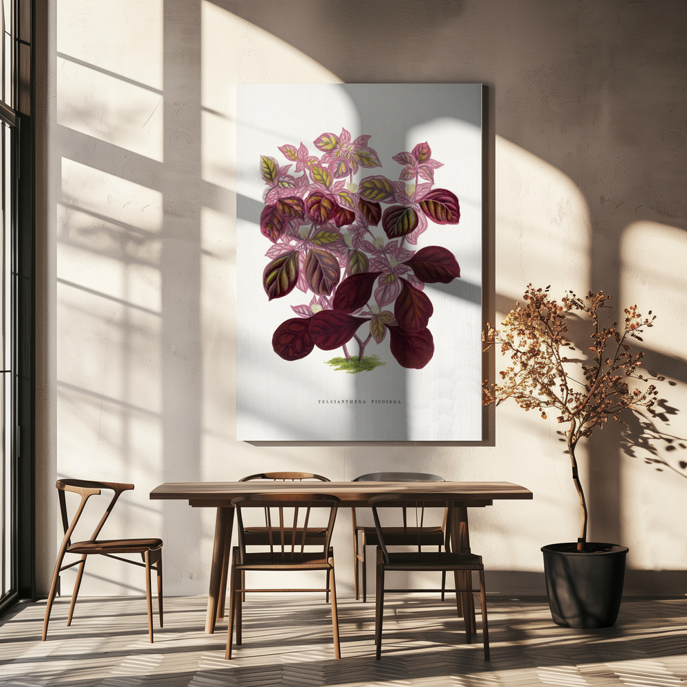 Stampe su tela - Pink Teleianthera Ficoidea Leaf Illustration sopra il tavolo da pranzo
