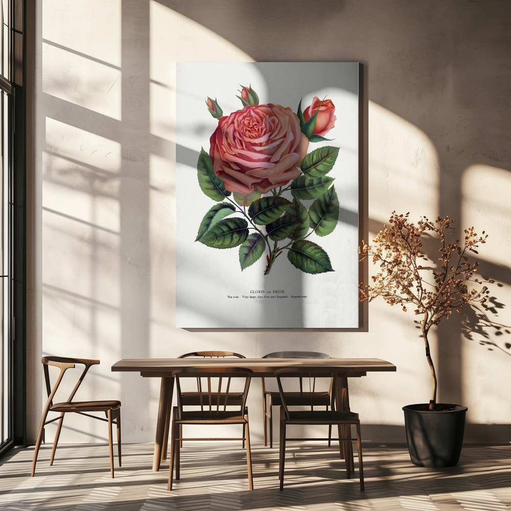 Lienzo - Pink Rose, Glorie De Dijon Lithograph sobre la mesa del comedor