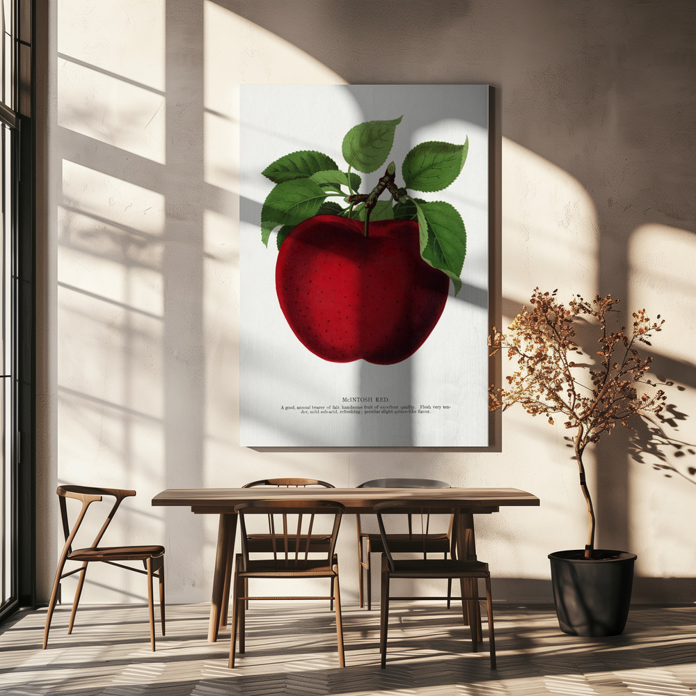 Canvas schilderi - Mcintosh Red Apple Lithograph boven eettafel