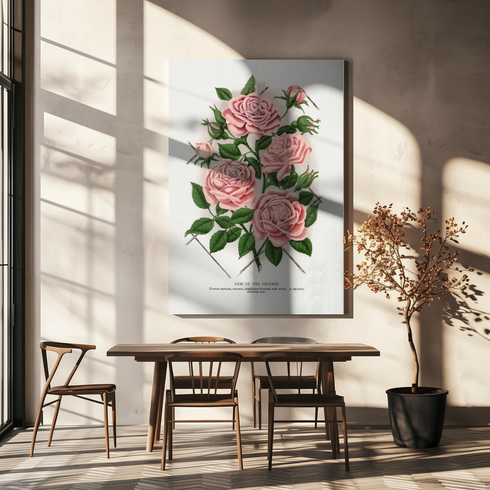 Canvas print - Pink Rose, Gem of the Prairie Lithograph over dining table