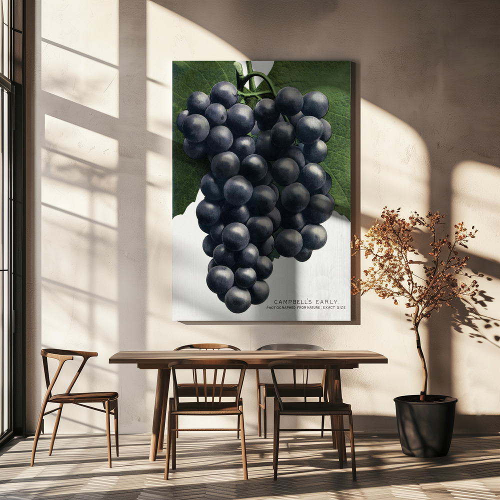 Canvas schilderi - Campbell's Early Grape Lithograph boven eettafel