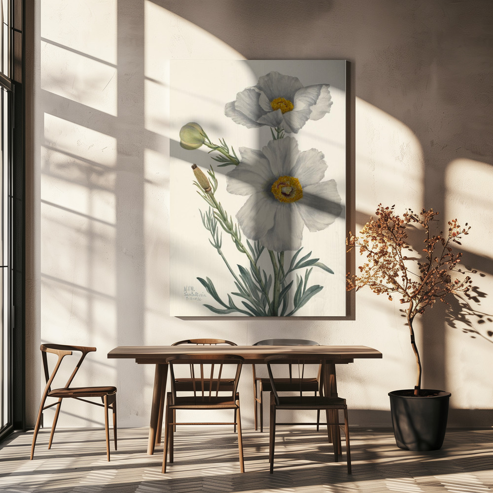Canvas taulu - Matilija Poppy ruokapöydän yli
