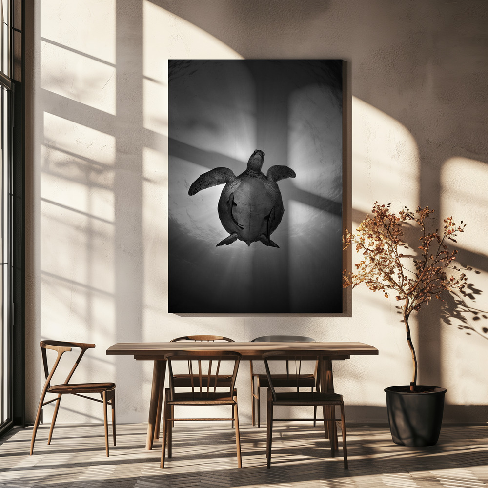 Canvas taulu - Sun ruokapöydän yli