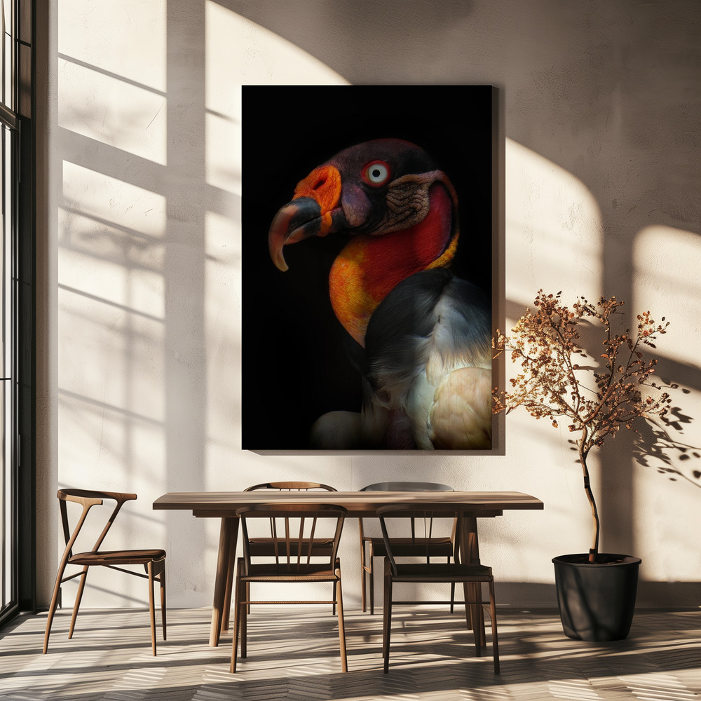 Leinwandbild - King vulture-Sarcoramphus papa über dem Esstisch