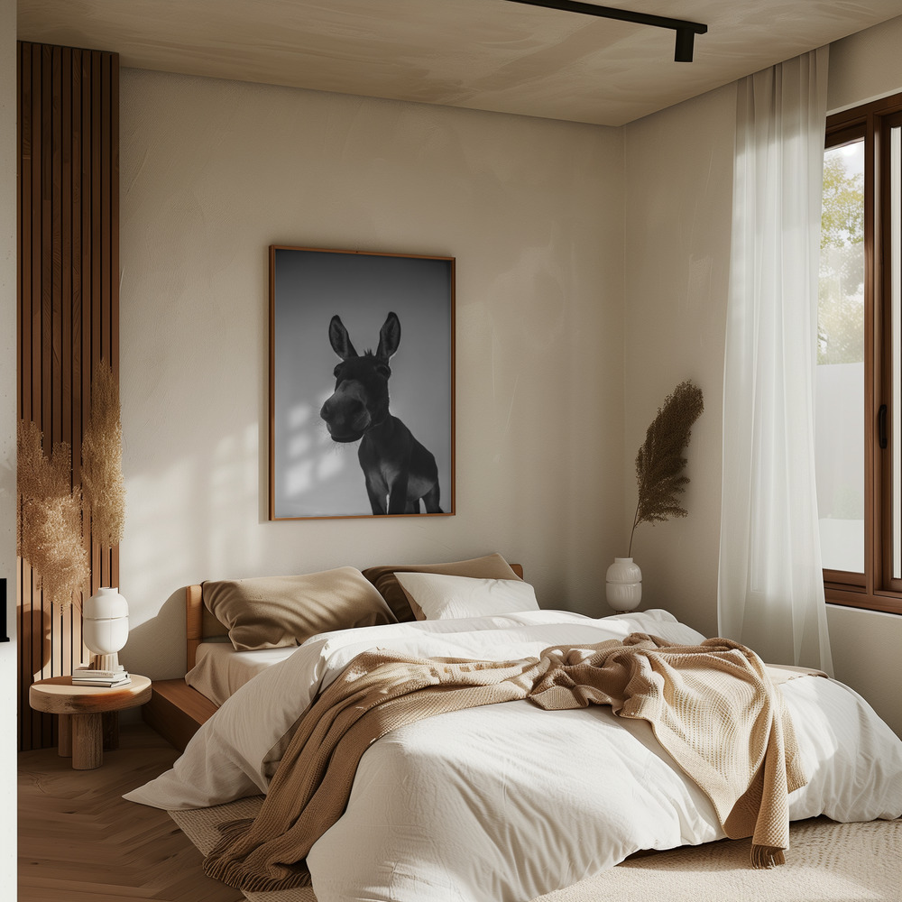 Poster - Donks in bedroom