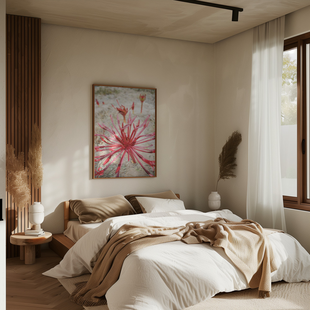 Poster - Feinbos in bedroom