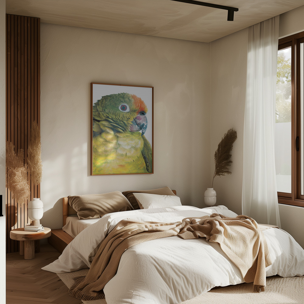 Poster - Parrot in bedroom