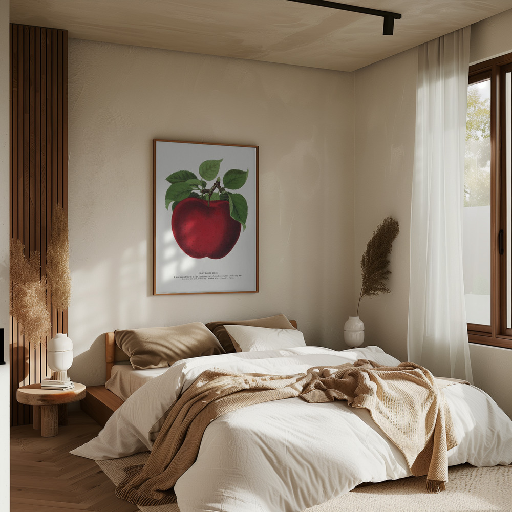 Poster - Mcintosh Red Apple Lithograph in bedroom