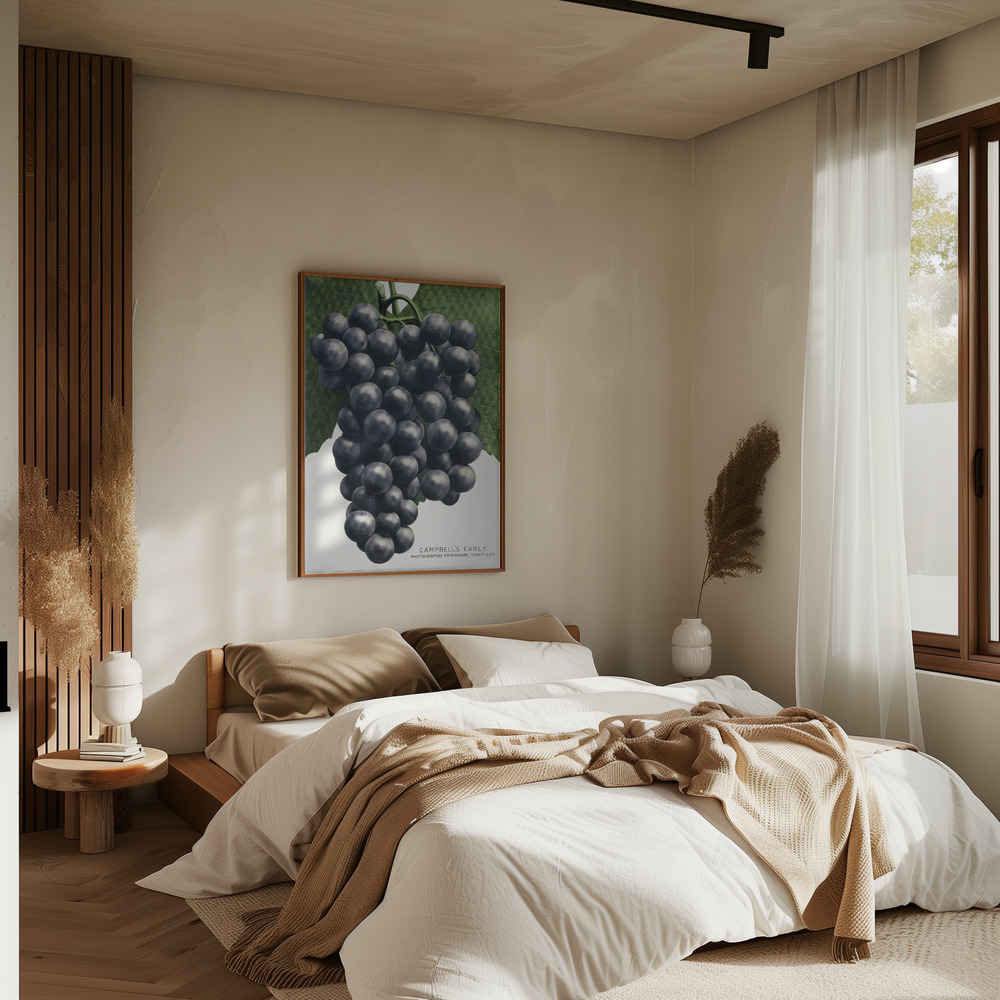 Poster - Campbell's Early Grape Lithograph in slaapkamer