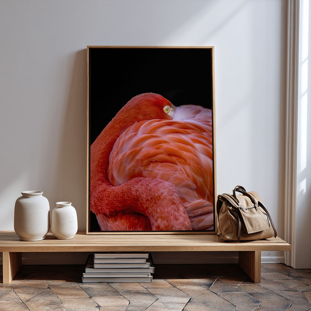 Canvas schilderi - Flamingo bij de ingang
