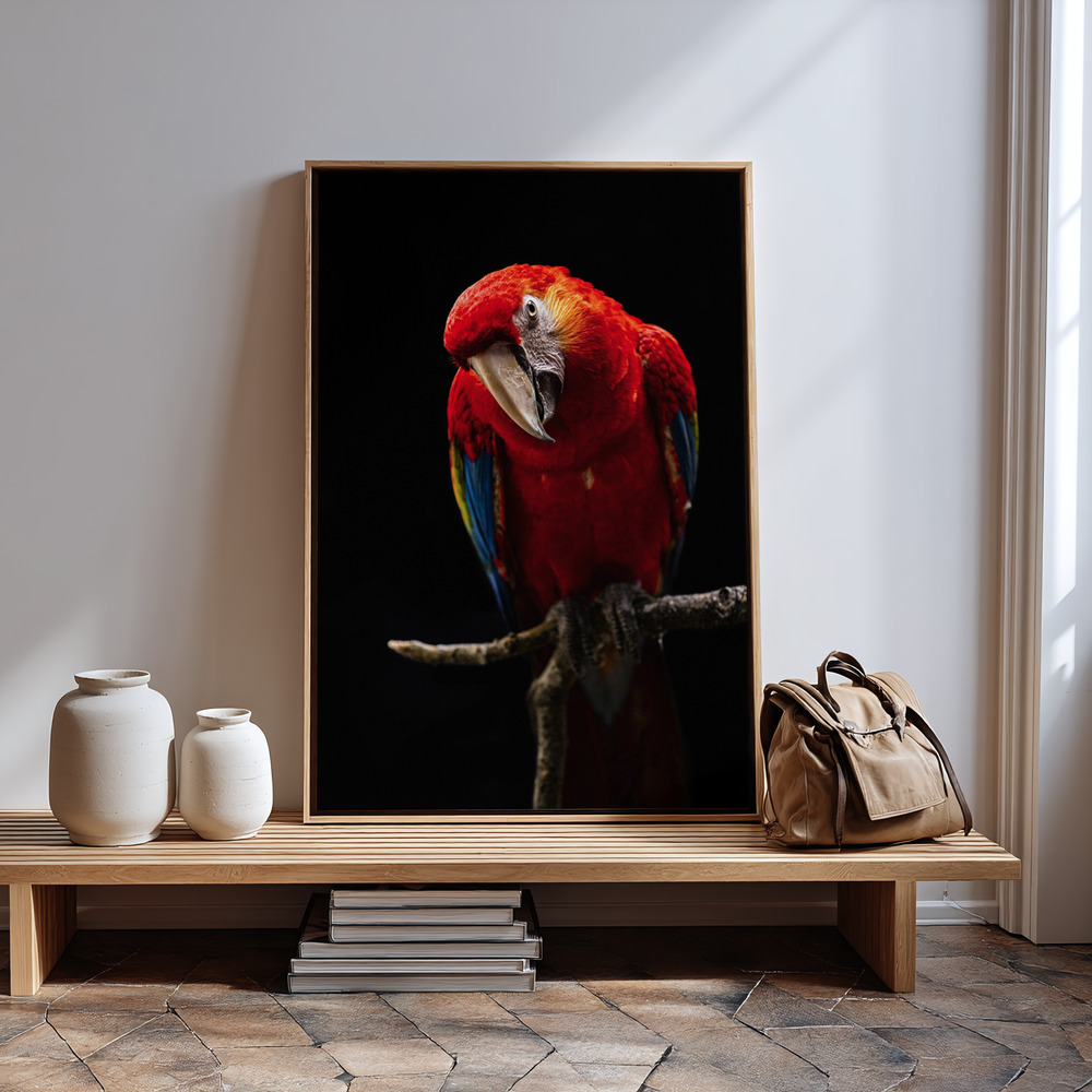 Canvas taulu - Portrait of Scarlet Macaw sisäänkäynnin luona