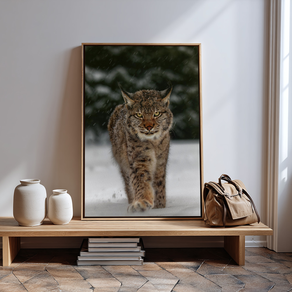 Lærred - Meet the lynx ved indgangen