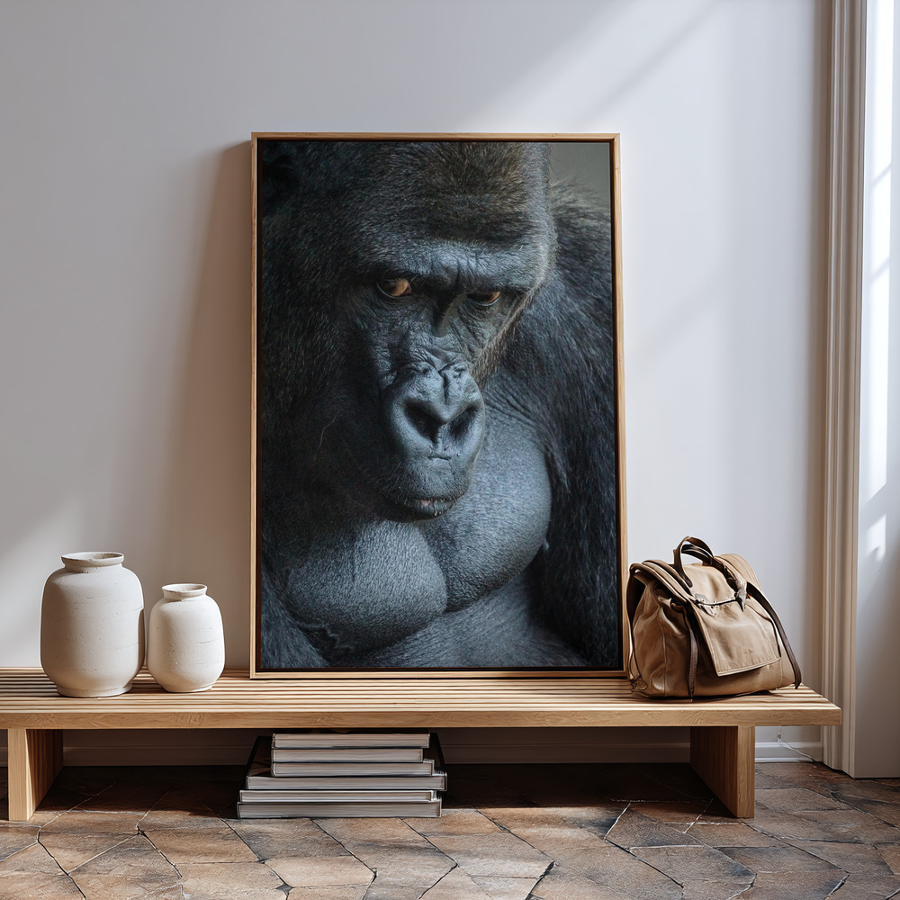 Toile - Unhappy Gorilla à l'entrée