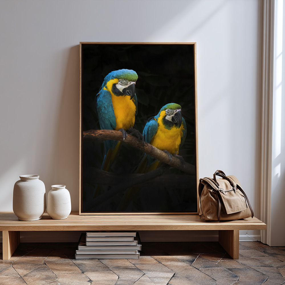 Canvas schilderi - Macaw Parrots in guest room