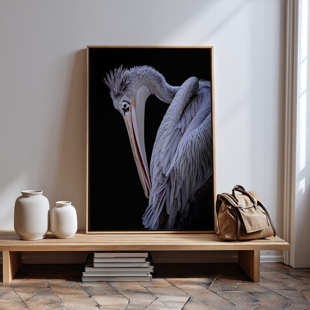 Canvas print - Pensive Pelican by the entrance