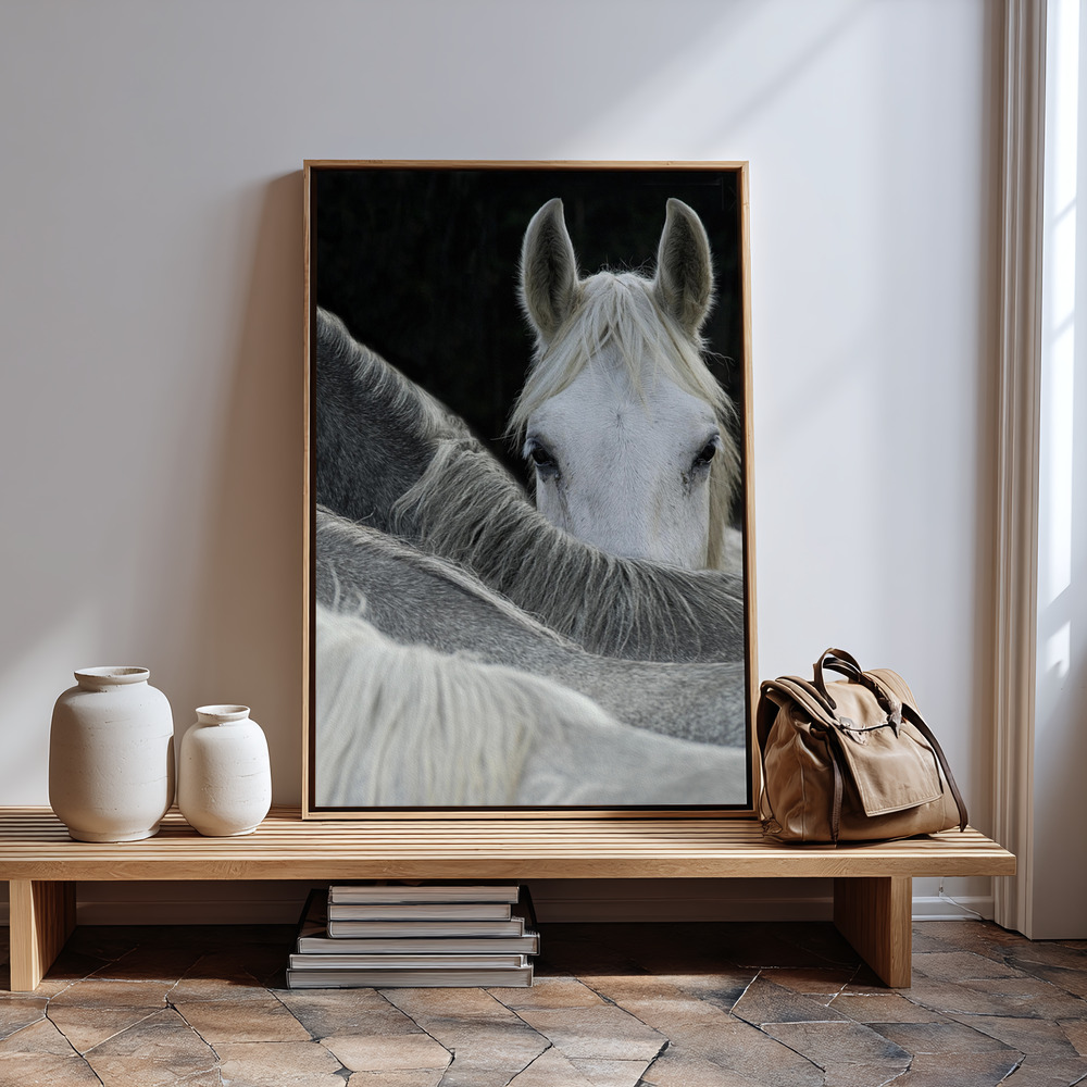 Canvas print - Look in guest room