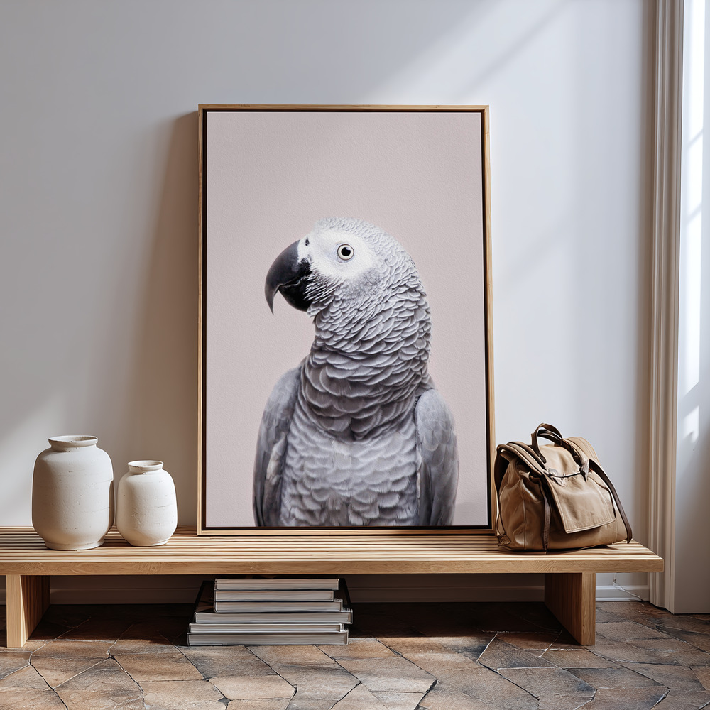 Canvas print - African Grey in guest room