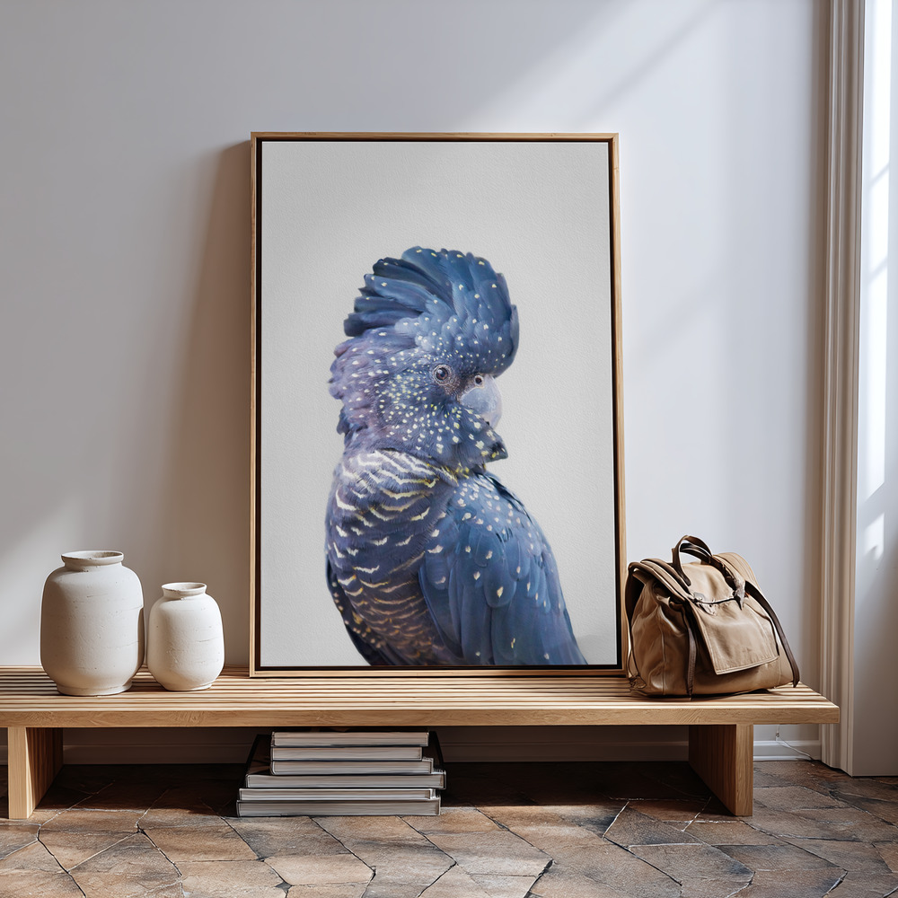 Obraz na płótnie - Black Cockatoo przy wejściu