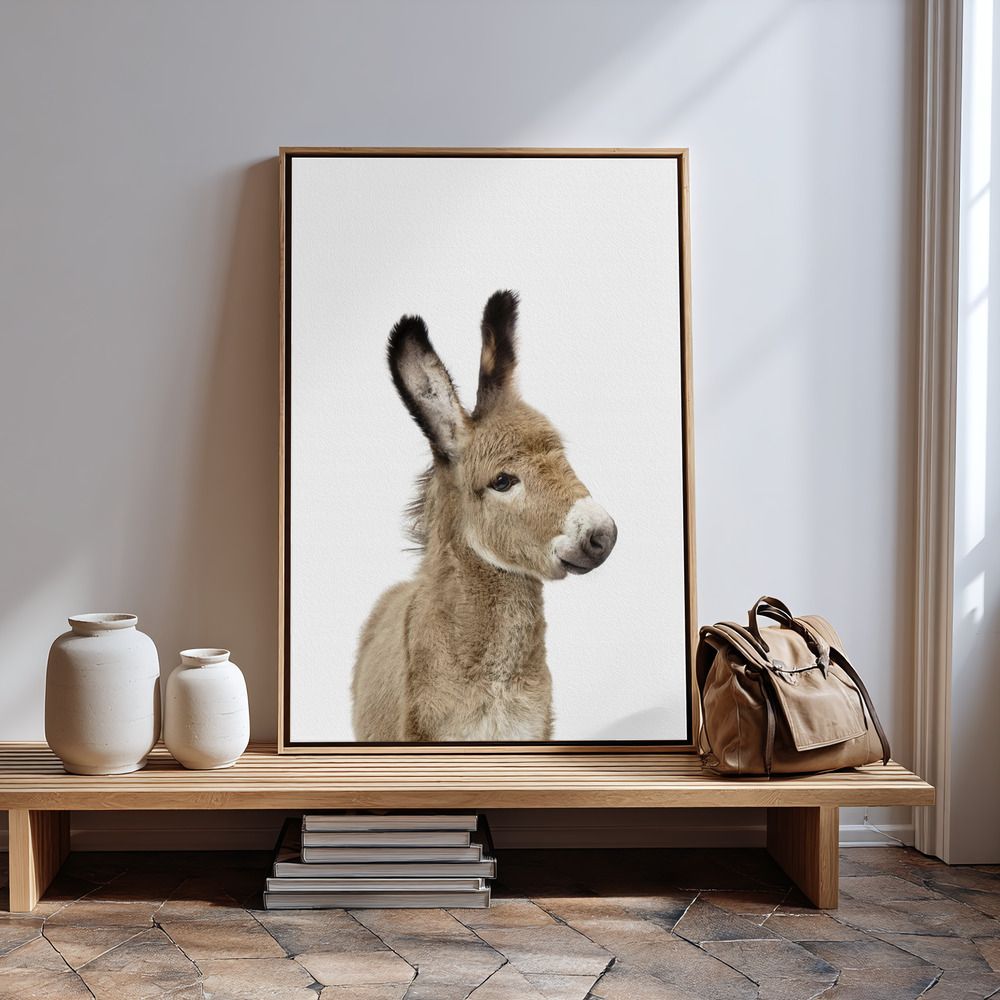 Toile - Baby Donkey à l'entrée