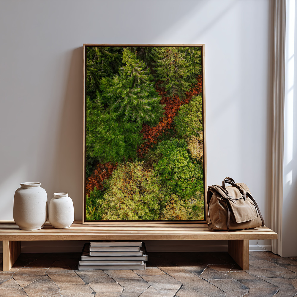 Canvas schilderi - La route de la forêt bij de ingang