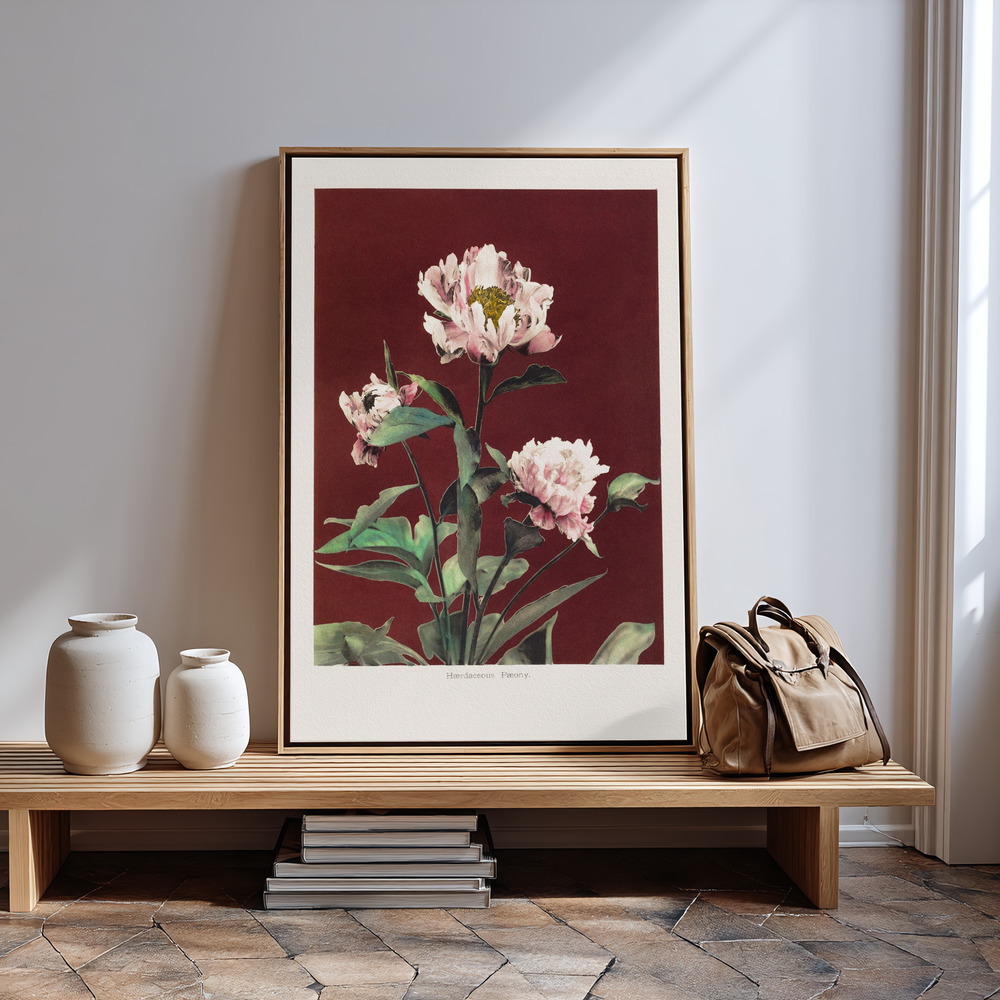 Toile - Hærdaceous Peony no2 à l'entrée