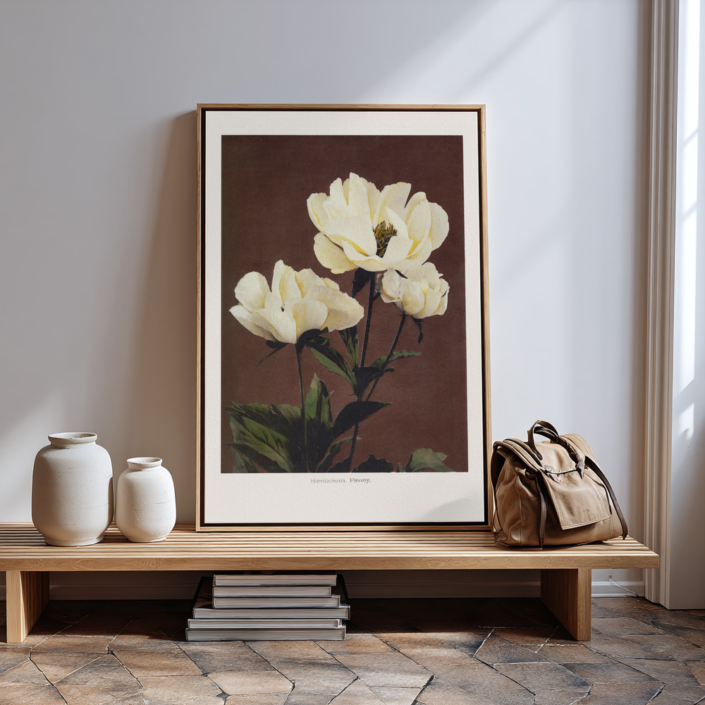 Obraz na płótnie - Hærdaceous Peony przy wejściu