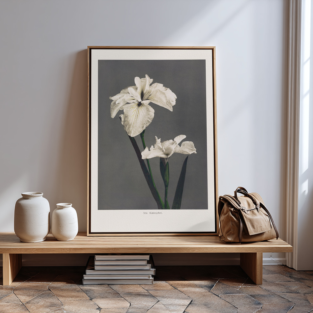 Canvas print - Iris Kæmpferi in guest room
