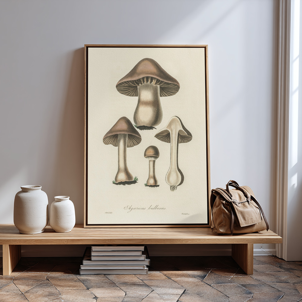Stampe su tela - Agaricus Bulbosus Illustration. Medical Botany 1836 vicino all'ingresso