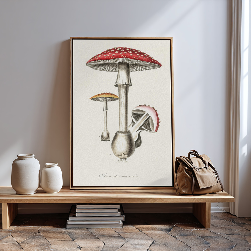 Stampe su tela - Amanita Muscaria Illustration. Medical Botany 1836 vicino all'ingresso