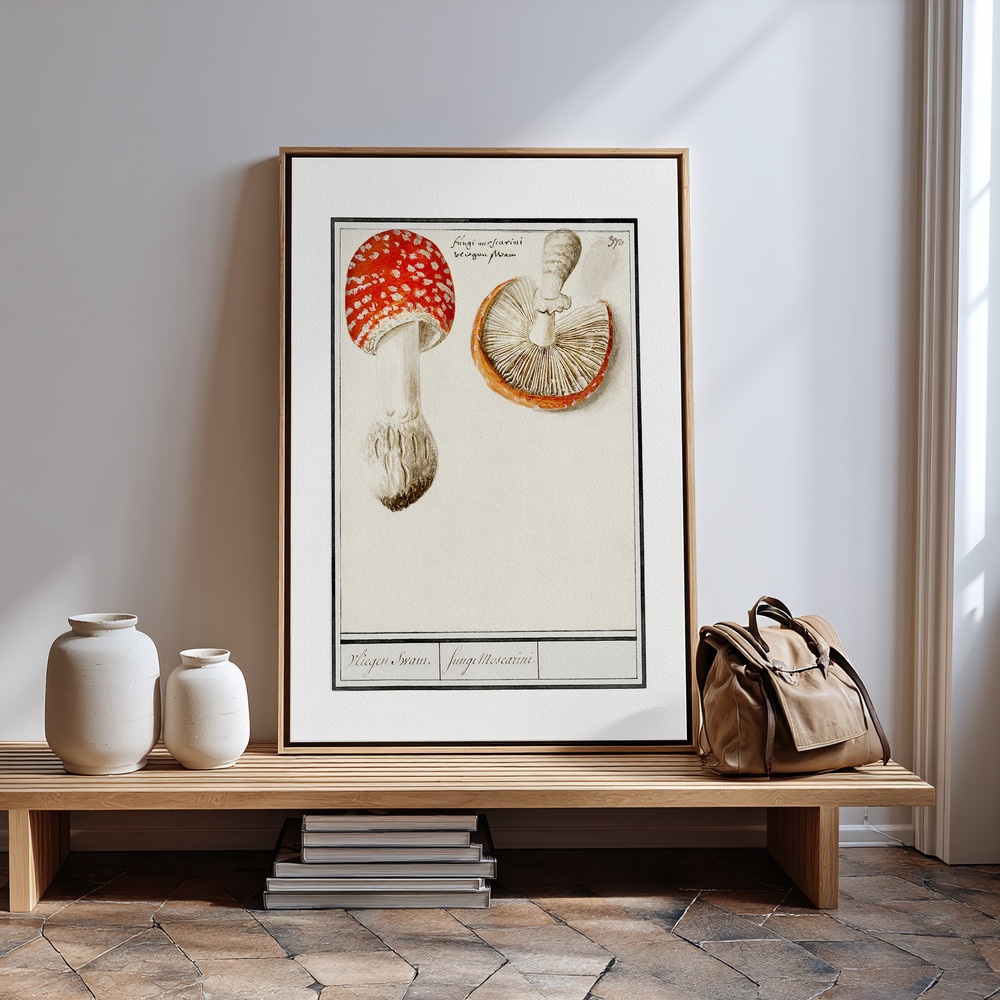 Canvas print - Fly Agaric, Amanita Muscaria by the entrance