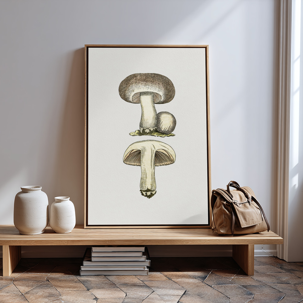 Canvas print - Hand Drawn Field Mushroom Gray by the entrance