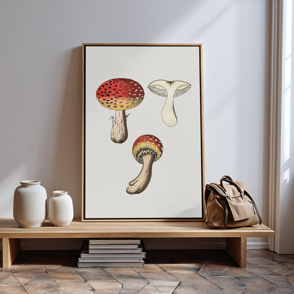 Canvas print - Hand Drawn Fly Agaric Mushroom by the entrance