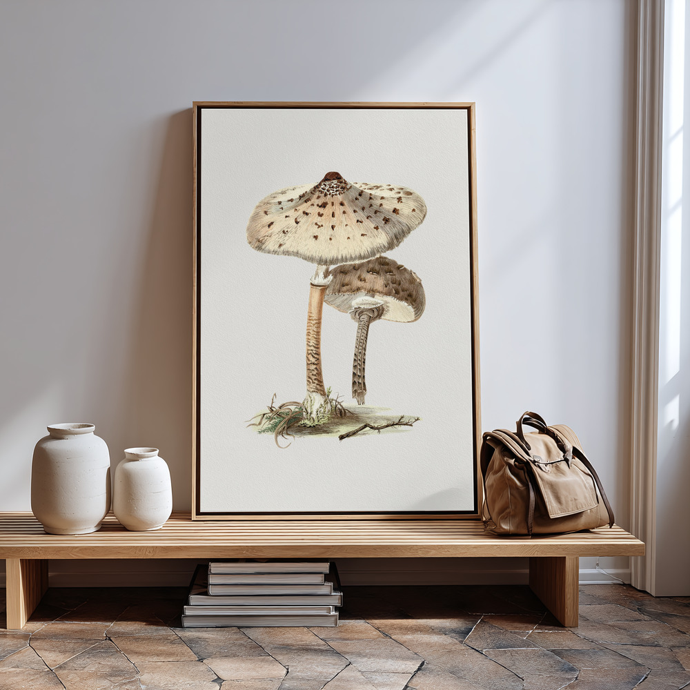 Canvas print - Hand Drawn Parasol Mushroom by the entrance