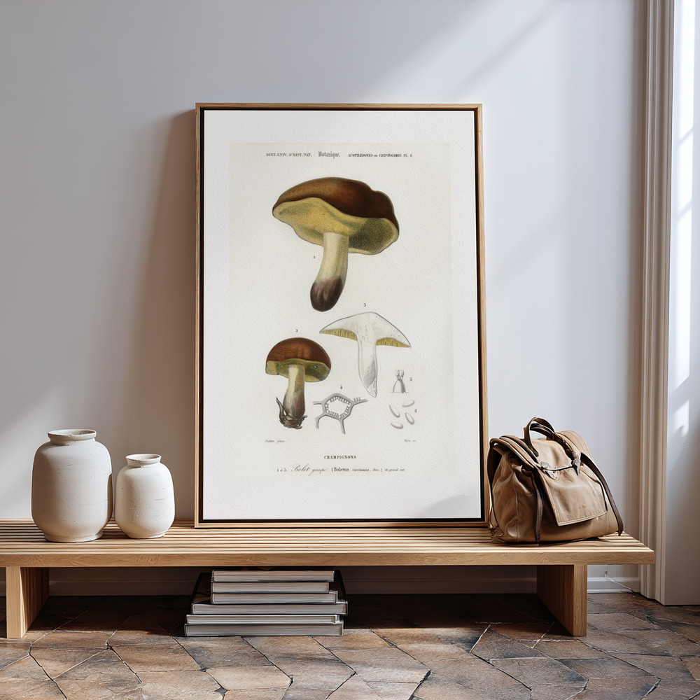 Canvas print - Mushroom (boletus Circinans) by the entrance