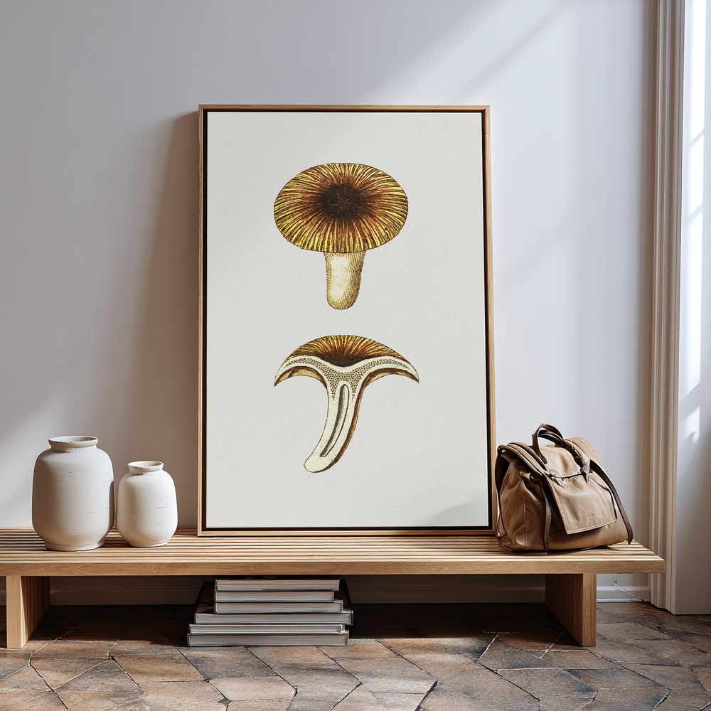 Canvas print - Vintage Chanterelles Edible Mushroom by the entrance
