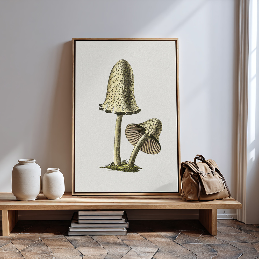 Canvas print - Vintage Inky Cap Edible Mushroom by the entrance
