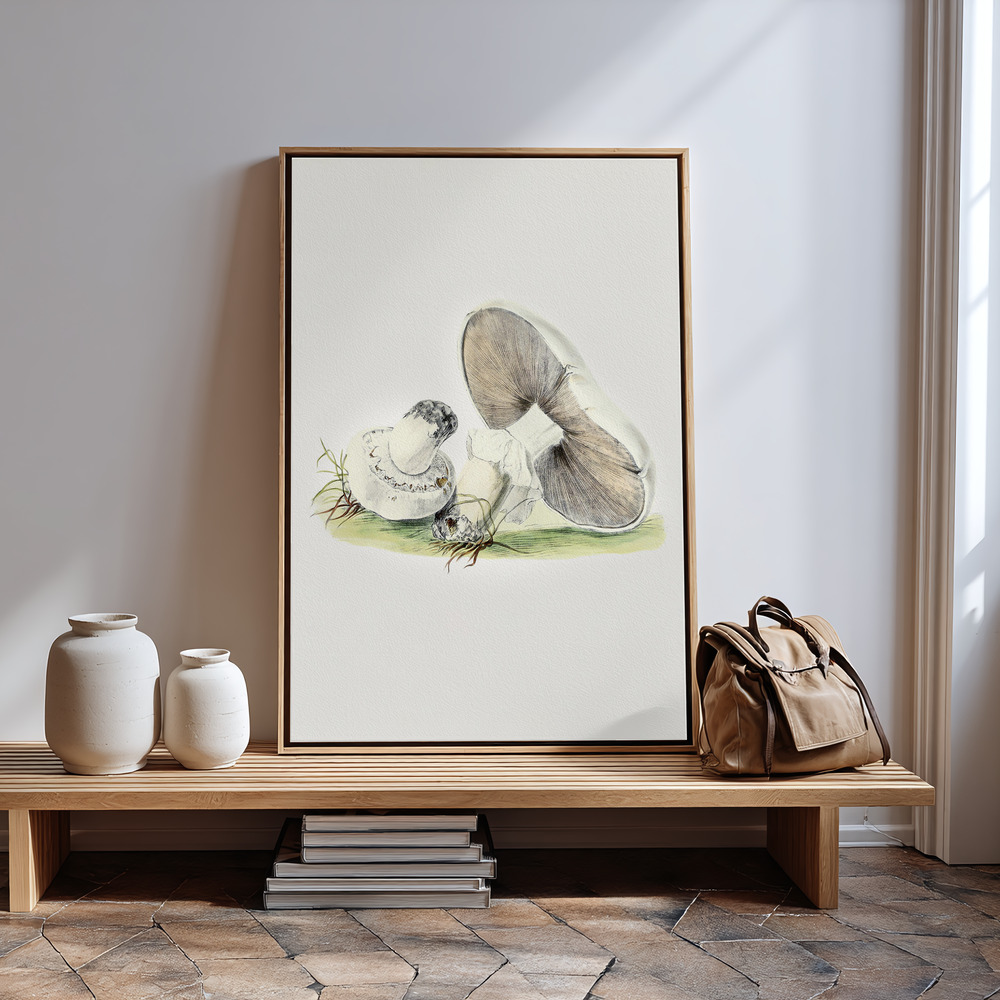 Canvas print - Hand Drawn Horse Mushroom Standing by the entrance