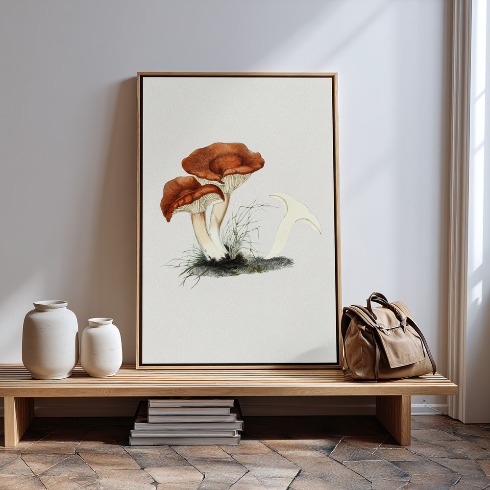 Canvas print - Hand Drawn Rufous Milkcap Mushroom by the entrance